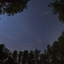 Shooting stars streak across the starry night sky in the forest. 