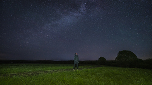 A person standing in lit up green grass looking up at a dark and starry sky.