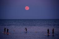 Paddleboarders below the strawberry moon at Barceloneta beach, Barcelona, Spain. 